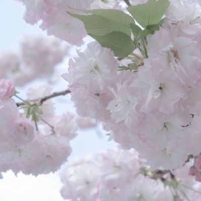 兽设海洋场景设计兽圈社群